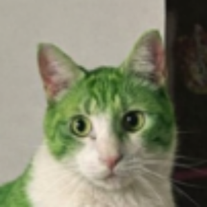 Profile photo of Paulo_CARAPAU